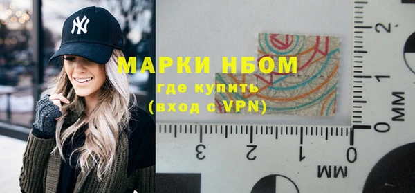 ГАЛЛЮЦИНОГЕННЫЕ ГРИБЫ Белокуриха