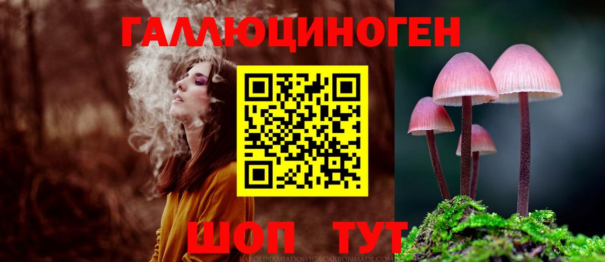Губкинский  Галлюциногенные грибы прущие грибы  Вход с VPN  Галлюциногенные грибы Psilocybe 